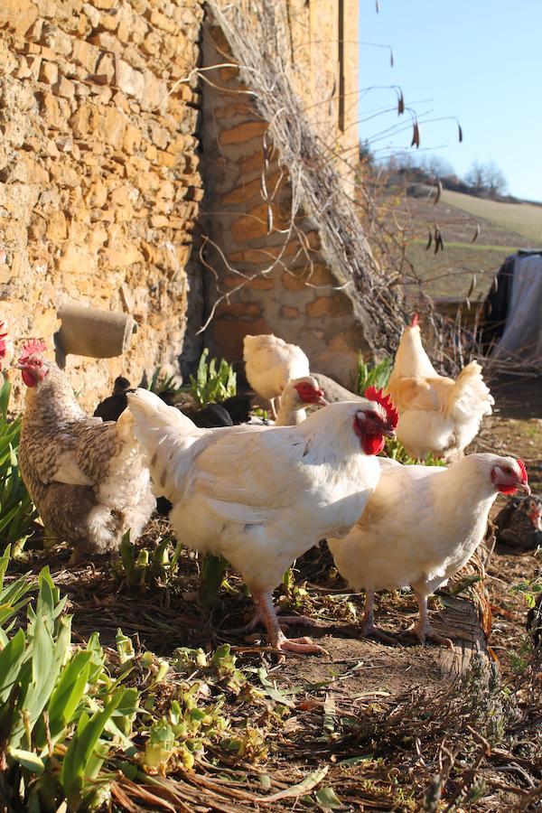 Domaine Des Aloets Panzió Moire Kültér fotó