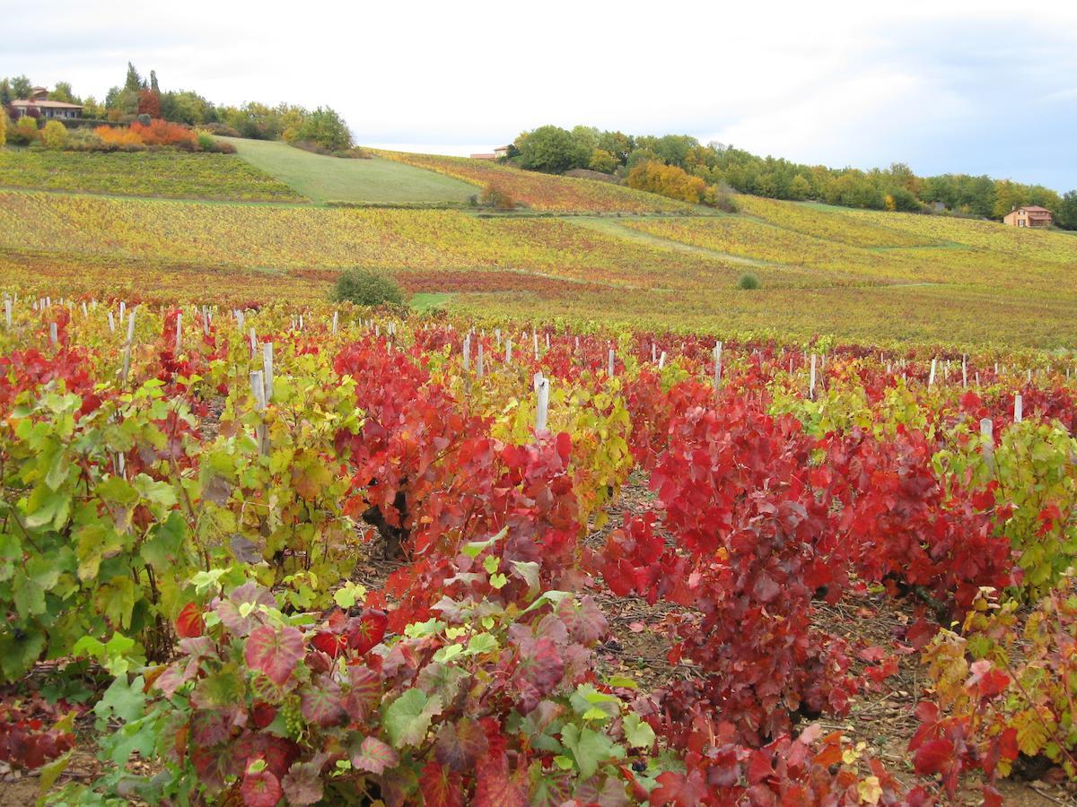 Domaine Des Aloets Panzió Moire Kültér fotó